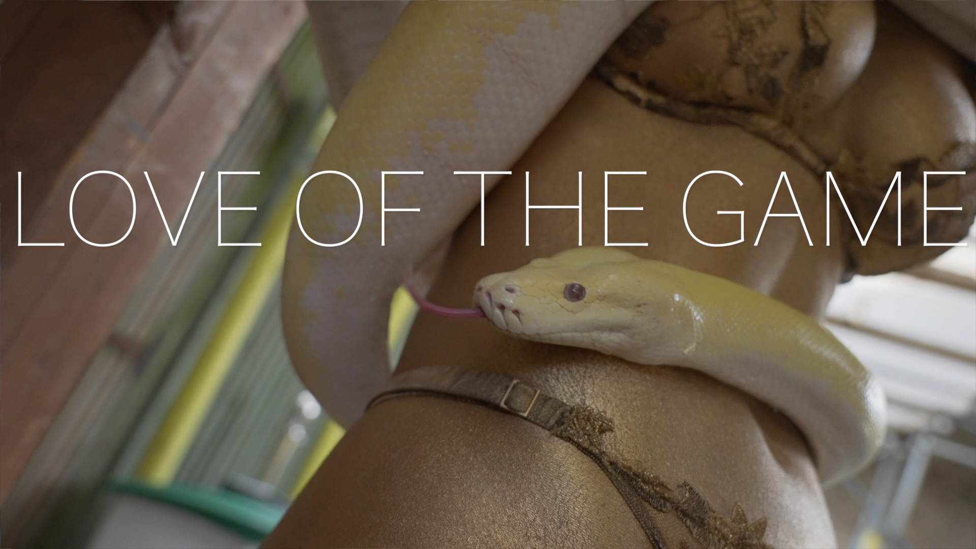 Love of the Game video poster